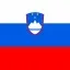 Flag_of_Slovenia_Flat_Square-64x64-1.jpg