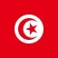 Flag_of_Tunisia_Flat_Square-64x64-1.jpg